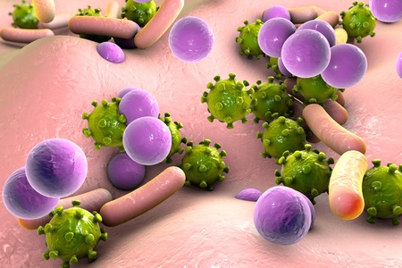 Bacteria and viruses on surface of skin or mucous membrane, model of MERS, HIV, Influenza virus,...
