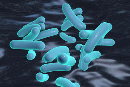 3D illustration of rod-shaped bacteria. Realistic illustration of microbesの写真素材