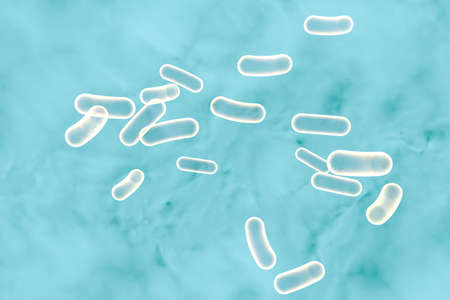3D illustration of rod-shaped bacteria. Realistic illustration of microbesの写真素材