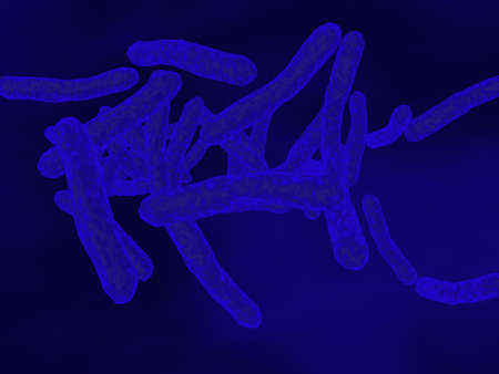 Bacteria Mycobacterium tuberculosis, the causative agent of tuberculosis, 3D illustration