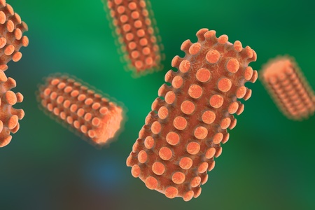 3D illustration of a rabies virus, a virus transmitted by bites of rabid animal, realistic image of microbe, microorganism, microscopic view, bullet shaped virus, RNA virusの写真素材