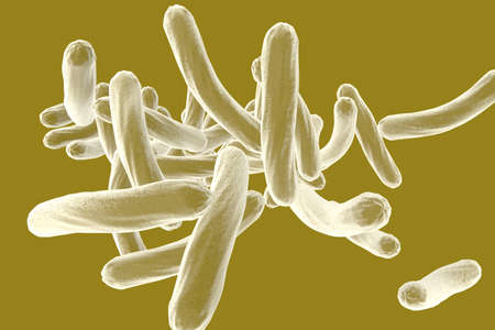 Bacteria Mycobacterium tuberculosis, the causative agent of tuberculosis, 3D illustration