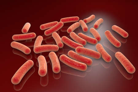 Rod-shaped bacteria, 3D illustration