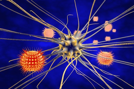 Viral encephalitis, neuroinfection, brain infection, neuron and viruses, brain cell infected by viruses, scientific background, medical background, healthcare backgroundの写真素材