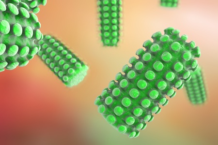 Background with viruses. Rabies virus, a virus transmitted by bites of rabid animal, realistic image of microbe, microorganism, microscopic view, bullet shaped virus, RNA virusの写真素材