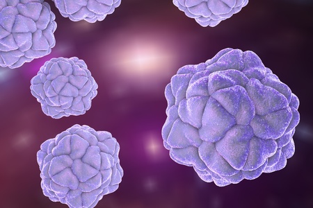 Satellite tobacco mosaic virus on colorful background. A model is built using data of viral macromolecular structure furnished by Protein Data Bank (PDB 2BUK)の写真素材