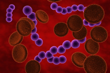 Three-dimensional drawing streptococci in blood, Streptococcus pyogenes, model of bacteria, realistic illustration of microbes, microorganisms, spherical bacteriaの写真素材