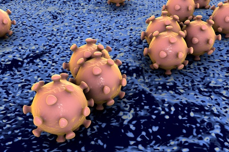 Microscopic view of Coronavirus on the surface of alveoli of respiratory tract, model of virus which causes SARS and MERS, Middle East Respiratory Syndrome, realistic image of microbe, microorganismの写真素材