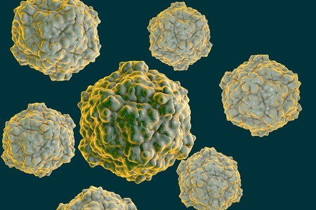 Tobacco ringspot virus on colorful background. A model is built using data of viral macromolecular structure furnished by Protein Data Bank PDB 1A6Cの写真素材
