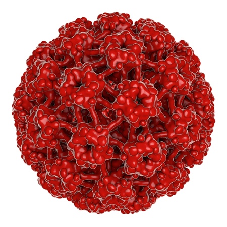 Human Papillomavirus type 16 isolated on white background HPV which causes cancer of cervix of uteri. A model is built using data of viral macromolecular structure from Protein Data Bank PDB 3J6Rの写真素材