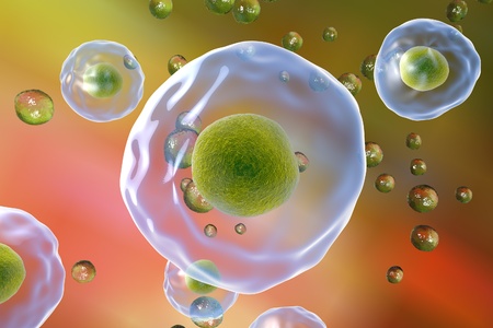 Background with cells. Human or animal cells on colorful backgroundの写真素材