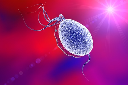 Trichomonas vaginalis on colorful background. Sexually transmitted microorganism, protozoan, microbe. Microscopic view. Medical background.の写真素材