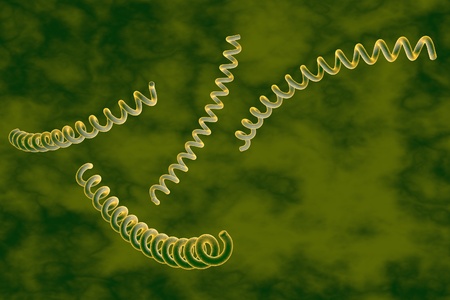 Microscopic illustration of Treponema pallidum, bacterium which causes syphilis, sexually...