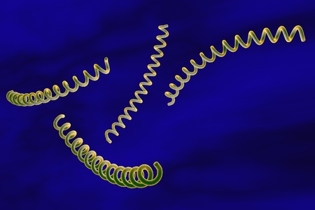 Microscopic illustration of Treponema pallidum, bacterium which causes syphilis, sexually...