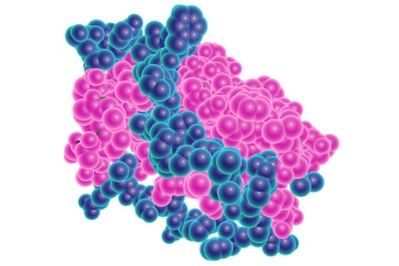 Leptin, human obesity protein isolated on white background. A model is built using data of molecular structure from Protein Data Bank PDB 1AX8の写真素材