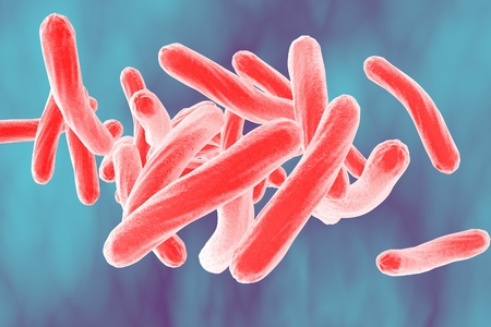 Bacteria. Microscopic view of bacterium Mycobacterium tuberculosis on colorful background, model of bacteria, realistic illustration of microbes, microorganisms, bacterium which causes tuberculosisの写真素材