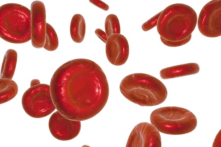 Red blood cells isolated on white background, scientific background, medical background, circulatory system, cardiovascular systemの写真素材