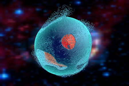 Cell lysis. Destruction of a cell. Can be used to illustrate effect of drugs, medicines, microbes, nanoparticles, apoptosisの写真素材