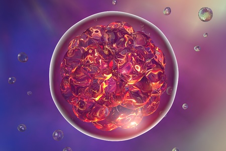 Human embryo on colorful background. 3D viewの写真素材
