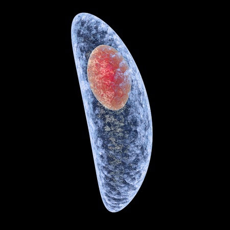 Toxoplasma gondii isolated on black background. Protozoan which is transmitted from cats and other...