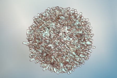 Lymphocyte. Immune cell. Antibody-producing cell. B-lymphocyte or T-lymphocyteの写真素材
