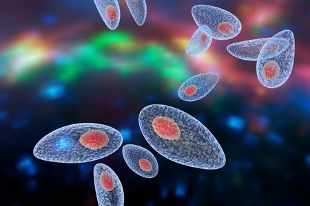 Pneumocystis carinii, opportunistic fungus which causes pneumonia in patients with HIVの写真素材