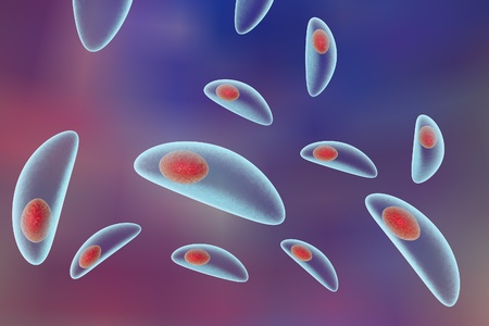 Toxoplasma gondii on colorful background. Protozoan which is transmitted from cats and other animals...