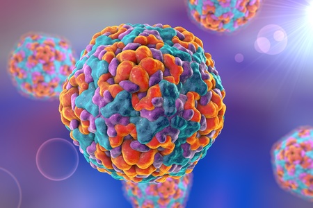 Illustration of Enterovirus D68 which causes respiratory infections in children on colorful background. A model is built using data of viral macromolecular structure from Protein Data Bank (PDB 4WM8)の写真素材