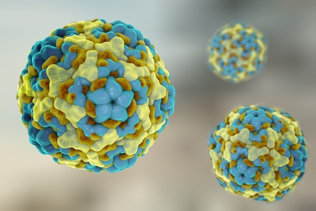 Illustration of Enterovirus D68 which causes respiratory infections in children on colorful background. A model is built using data of viral macromolecular structure from Protein Data Bank (PDB 4WM8)の写真素材