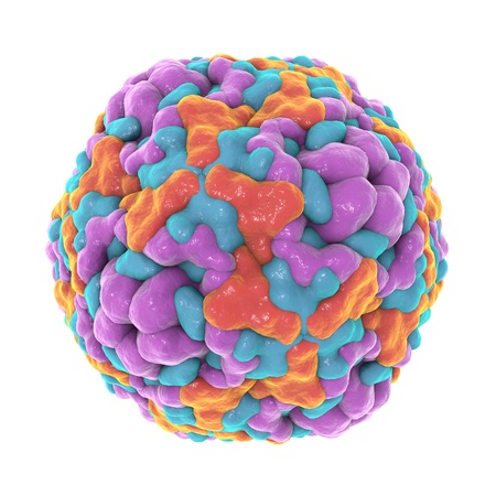 Illustration of Enterovirus D68 which causes respiratory infections in children isolated on white background. A model is built using data of viral molecular structure from Protein Data Bank (PDB 4WM8)の写真素材