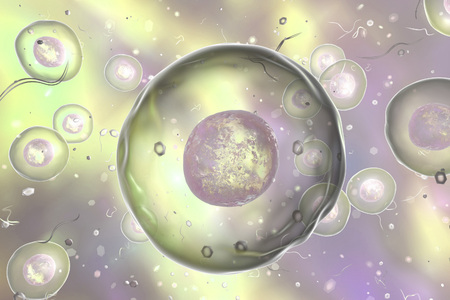 Human or animal cells on colorful background, 3D illustration.の写真素材