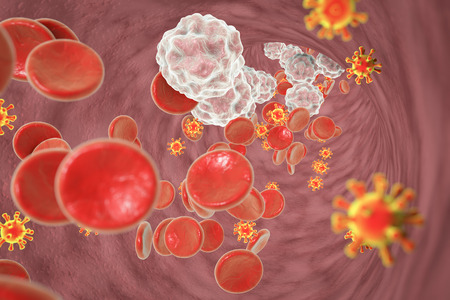 HIV infection, beginning stage or in consumption of antiretroviral agents. 3D illustration showing few viruses and abundant CD4 cellsの写真素材