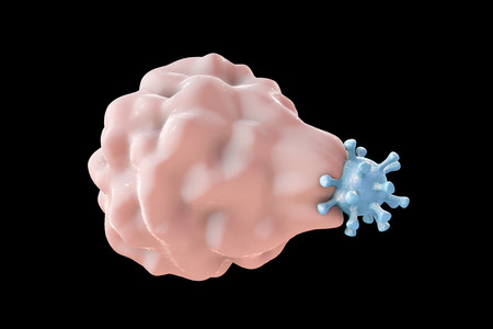 White blood cell engulfing a virus, 3D illustrationの写真素材