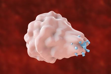 White blood cell engulfing a virus, 3D illustrationの写真素材