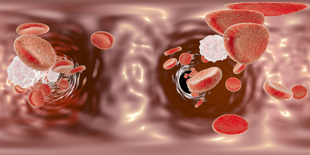 Full spherical panorama 360 degree view inside blood vessel showing red blood cells and white blood cells. 3D illustrationの写真素材