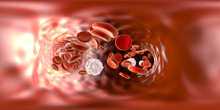 Full spherical panorama 360 degree view inside blood vessel showing red blood cells and white blood cells. 3D illustrationの写真素材