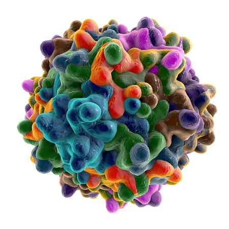 Adeno-associated virus serotype 1 isolated on white background. A virus is used for gene therapy. A model is built using data of viral molecular structure from Protein Data Bank (PDB 3NG9), 3D illustrationの写真素材