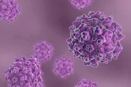 Background with viruses. Adeno-associated virus serotype 1. Virus is used for gene therapy. 3D illustrationの写真素材