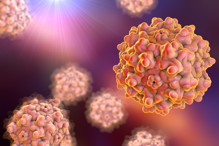 Background with viruses. Adeno-associated virus serotype 1. Virus is used for gene therapy. 3D illustrationの写真素材