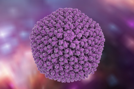 Background with virus. Adenovirus type 5 which causes respiratory infections, 3D illustrationの写真素材