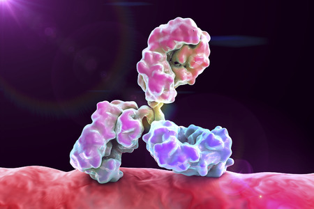 Antibody attacking bacterium. Immunoglobulin and bacteria. 3d illustrationの写真素材