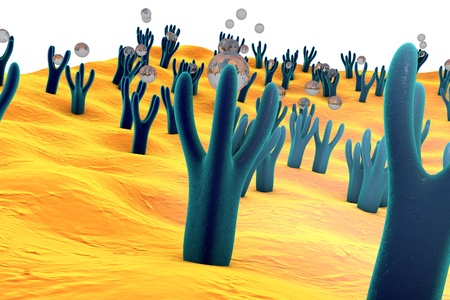 Membrane of cell surface with receptors and molecules coming to receptors, 3d illustrationの写真素材