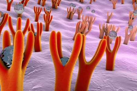 Membrane of cell surface with receptors and molecules coming to receptors, 3d illustrationの写真素材
