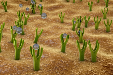 Membrane of cell surface with receptors and molecules coming to receptors, 3d illustrationの写真素材