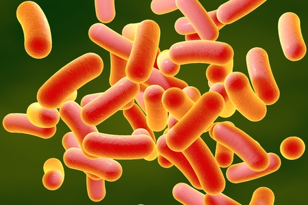 3D illustration of rod-shaped bacteria. Realistic illustration of microbesの写真素材