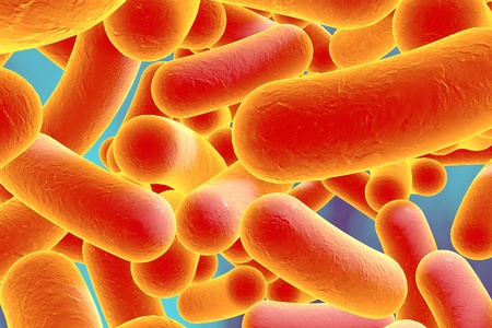 3D illustration of rod-shaped bacteria. Realistic illustration of microbes