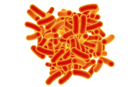 3D illustration of rod-shaped bacteria isolated on white background. Realistic illustration of microbesの写真素材