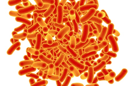 3D illustration of rod-shaped bacteria isolated on white background. Realistic illustration of microbesの写真素材