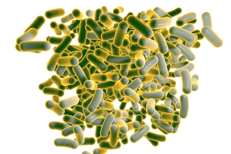 3D illustration of rod-shaped bacteria isolated on white background. Realistic illustration of microbesの写真素材