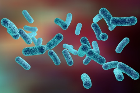 3D illustration of rod-shaped bacteria. Realistic illustration of microbesの写真素材